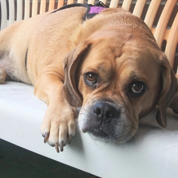 Meet your Posher, Julie - Picture 6 of 6